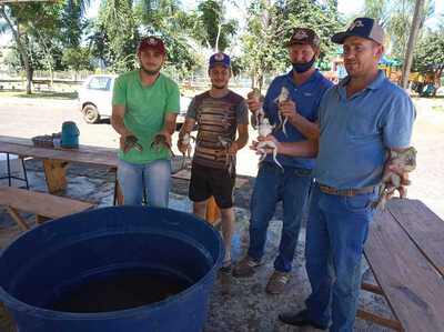 Feira do peixe vivo e RÃ£ de Virmond comercializou mais de 150 kg